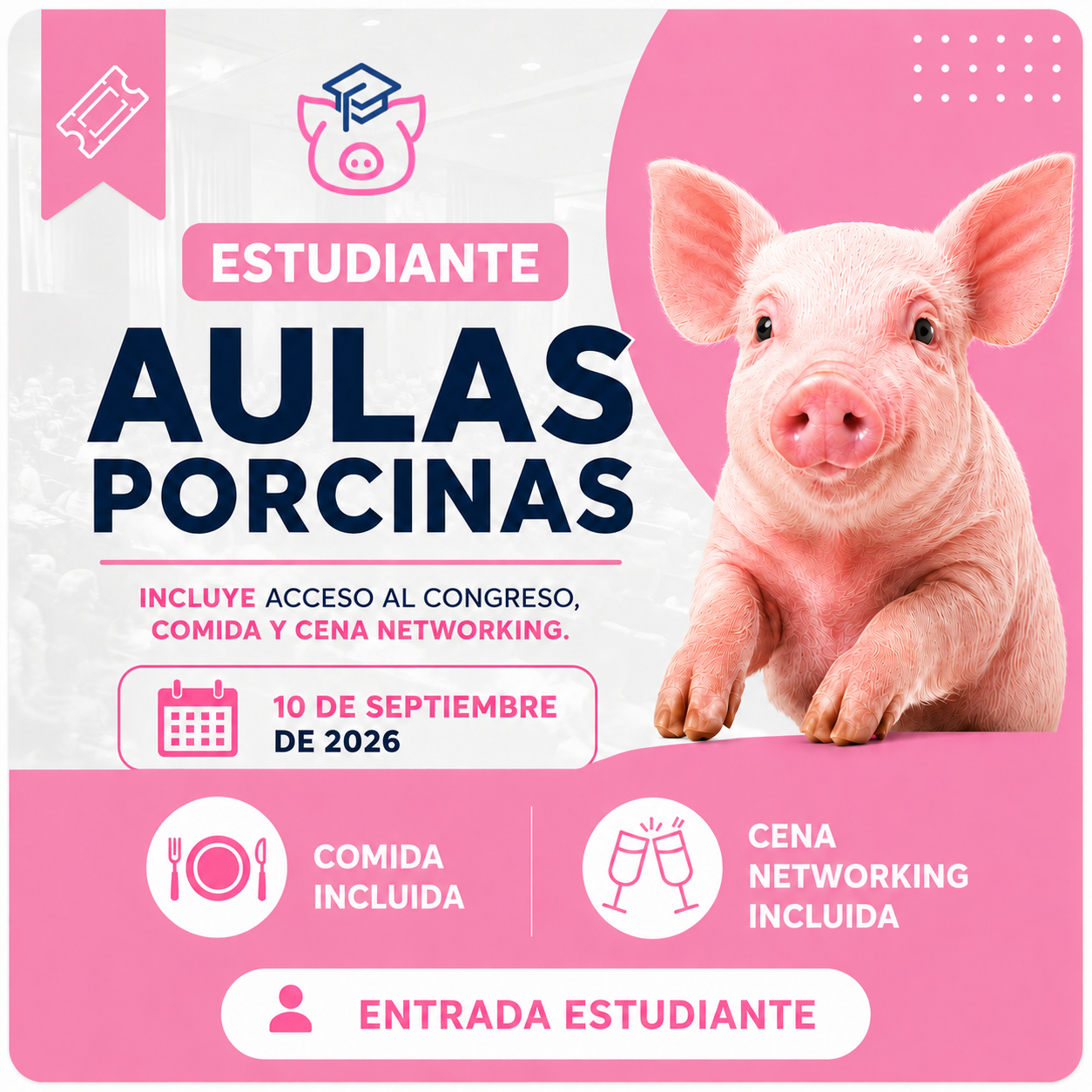 20€
