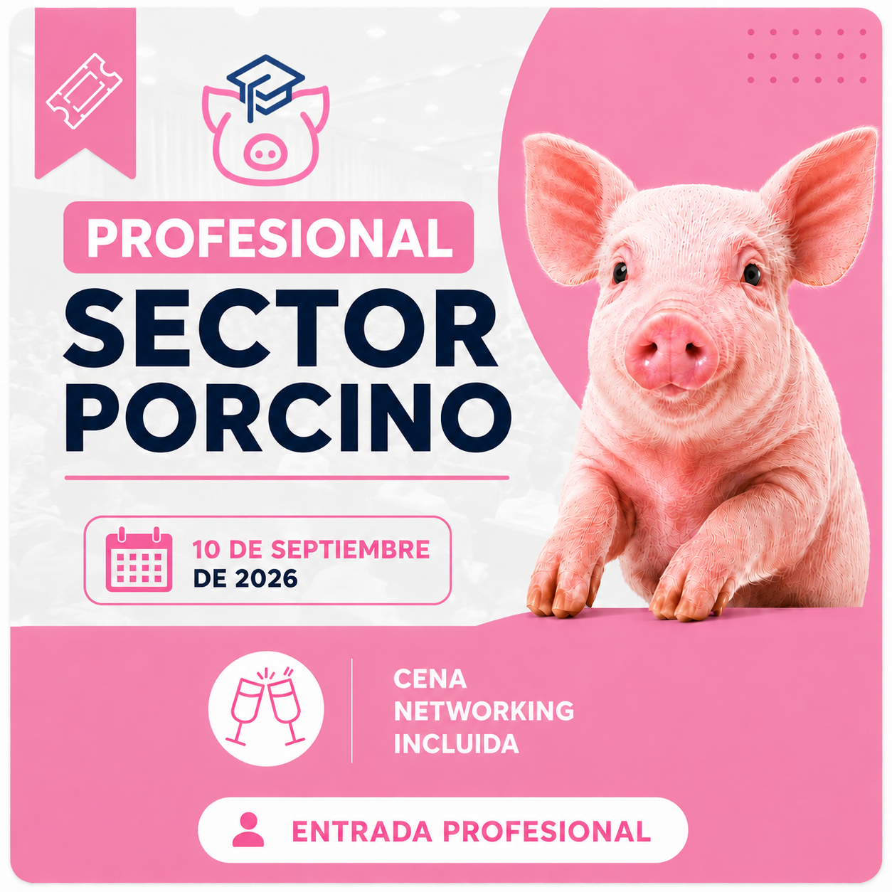 50 €